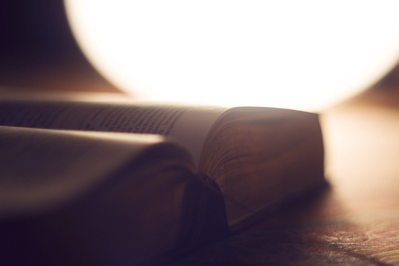 Explicando la Biblia: Una Guía para Comprenderla