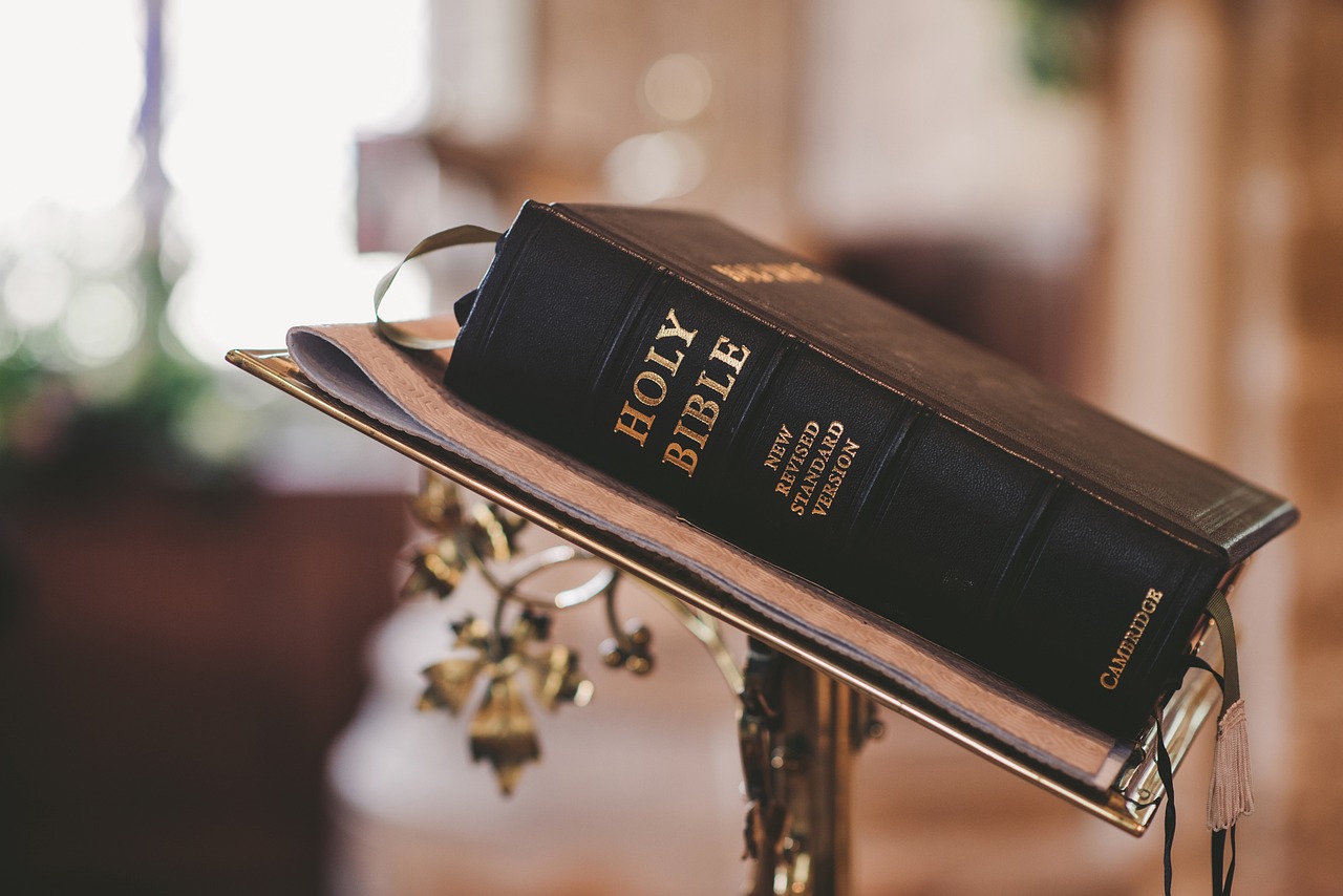 Los Libros que nos Hablan de Jesús: Una Revisión de los Principales Títulos